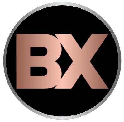BX Hosting Logo
